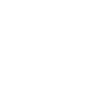 Logo footer